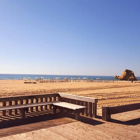 Pé Na Areia Local Appartement